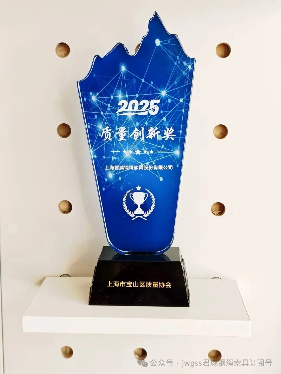 I君威鋼索摘得 “2025 質(zhì)量創(chuàng)新獎(jiǎng)”